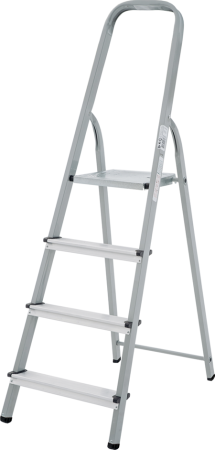 Stremyanka stalnaya 1