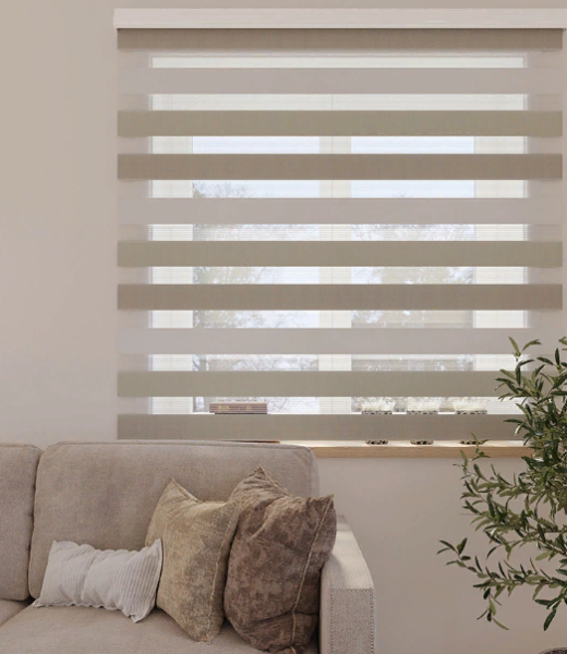 Beghevo-korichnevyi 2