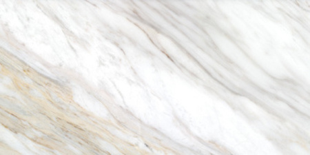 98739c89_901f_473a_8eed_137d6549a66f_0a3ff56d_15a3_11ee_b087_48df37e4f8cb.resize1