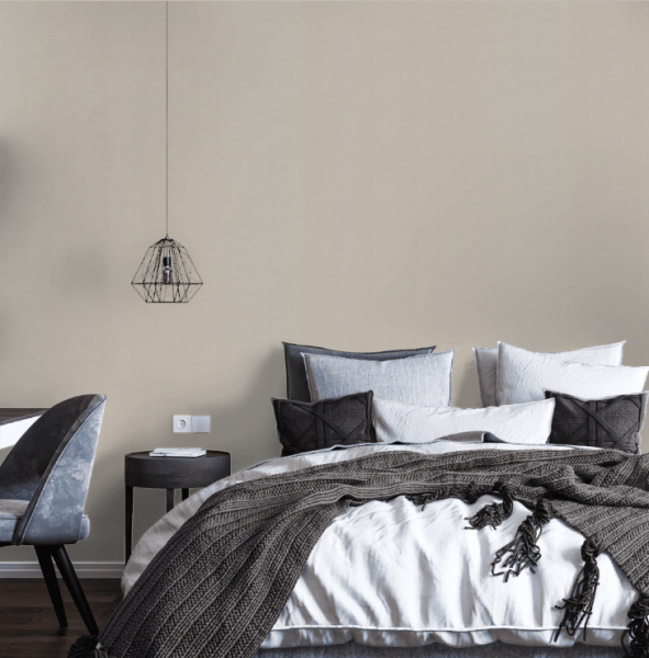 HomeColor 2