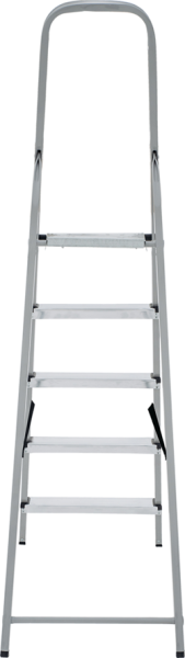 Stremyanka stalnaya 4