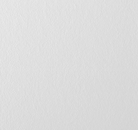 Stekloholst Wellton 2