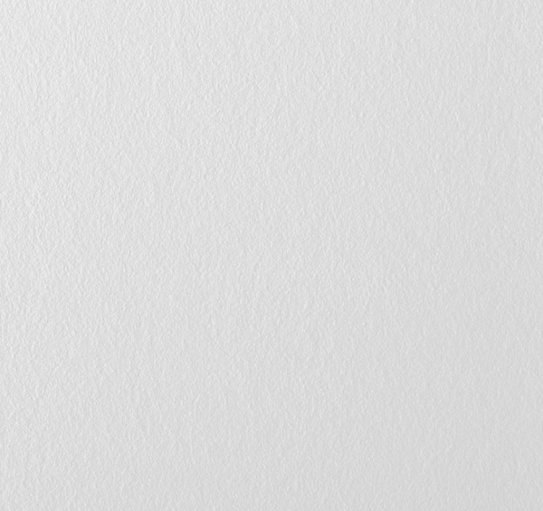 Stekloholst Wellton 2