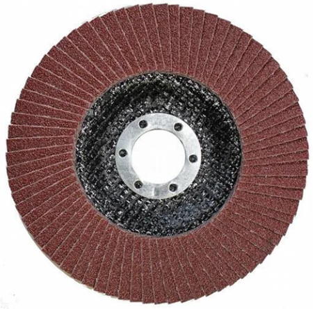 disk lepestkovyj 2