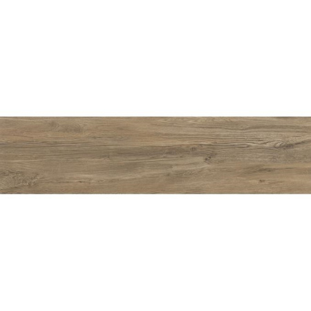tabula