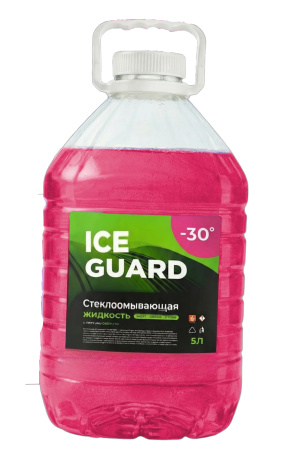 Ice Guard